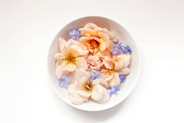 istock Flowers in white bowl centered on white background 1184833893