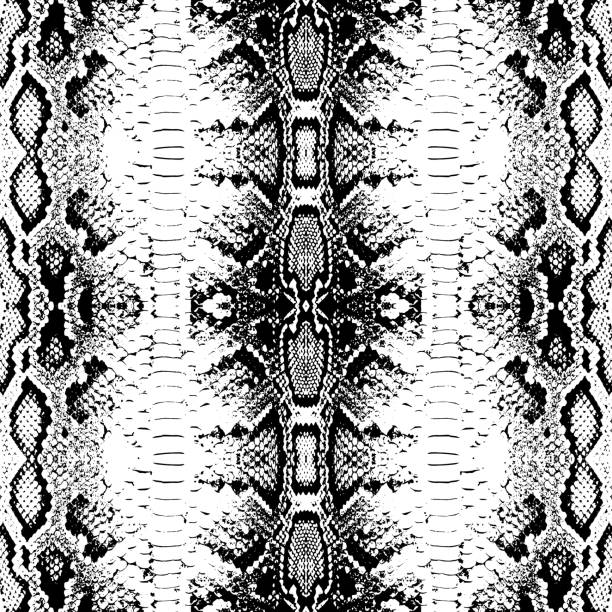 70+ Reticulated Python Background Stock Illustrations, Royalty-Free ...