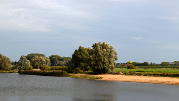 istock Landscape of Dutch river Meuse 1184838423