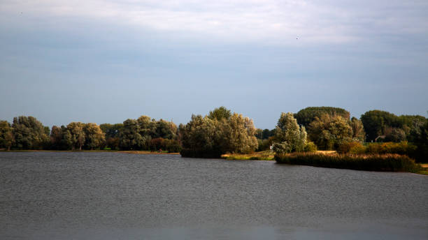 istock Landscape of Dutch river Meuse 1184839001