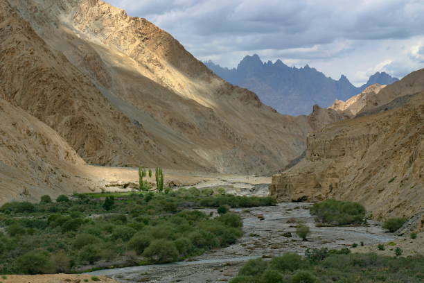 istock Markha valley in Ladakh 1184841021