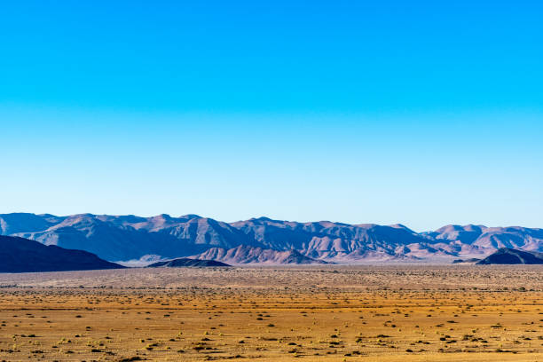 istock Landscapes of Namibia 1184841247