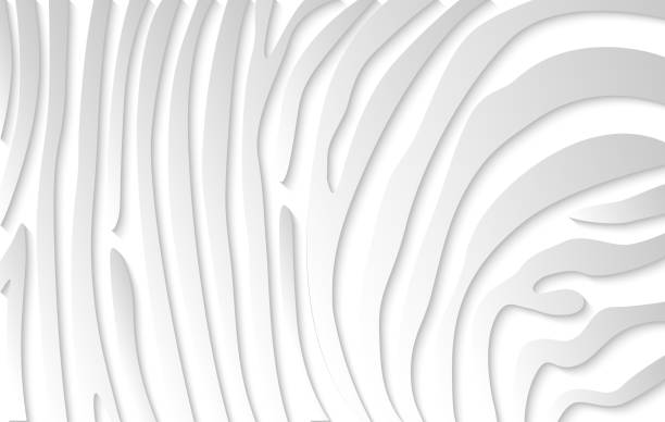 istock white paper line - abstract texture. simple background for cover design, poster, flyer. 1184842658