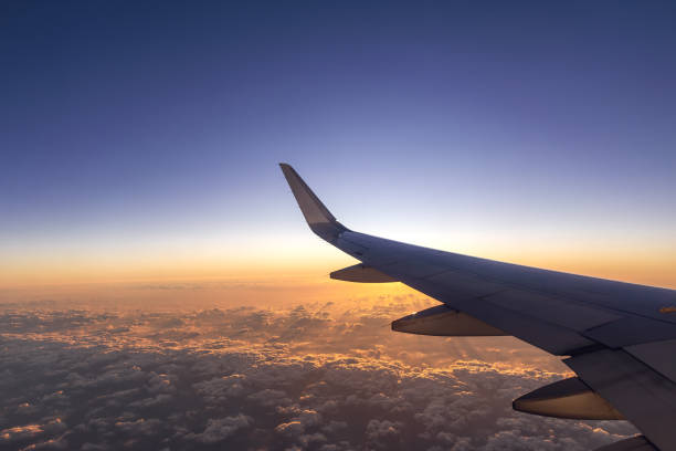 istock The aircraft flying over the Pacific Ocean. 1184844502