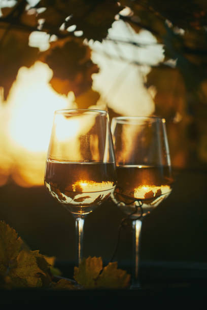 Two glasses of white wine on a wooden barrel Two glasses of white wine on wooden barrel in golden hour golden hour wine stock pictures, royalty-free photos & images