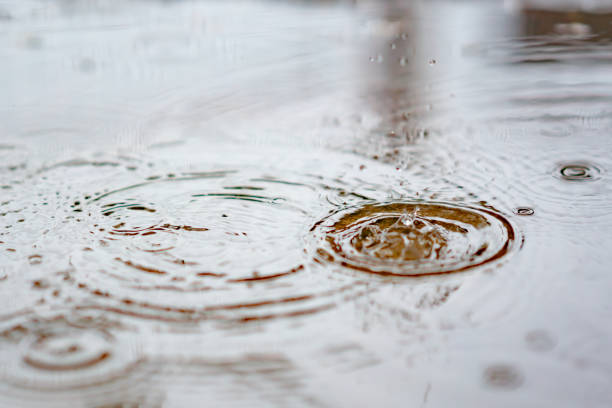 istock Splash water from rain droplets on wet ground 1184847312
