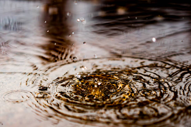 istock Splash water from rain droplets on wet ground 1184847313