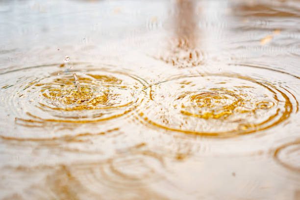 Splash water from rain droplets on wet ground