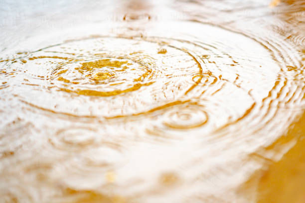 istock Splash water from rain droplets on wet ground 1184847461