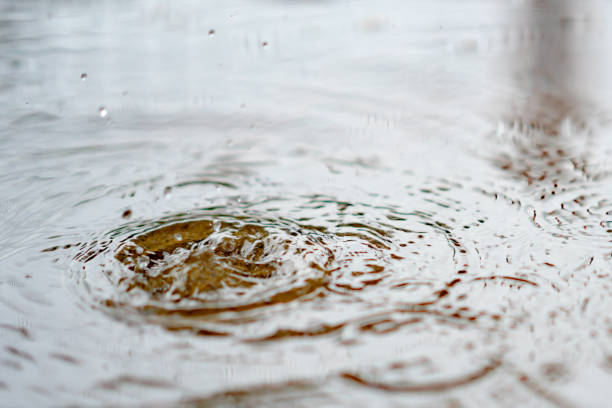 istock Splash water from rain droplets on wet ground 1184847463