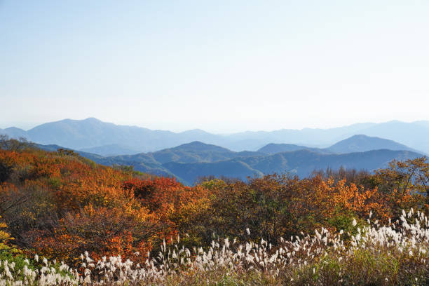 istock Panoramic autumn view from Mt. Azumayama, Japan 1184849714