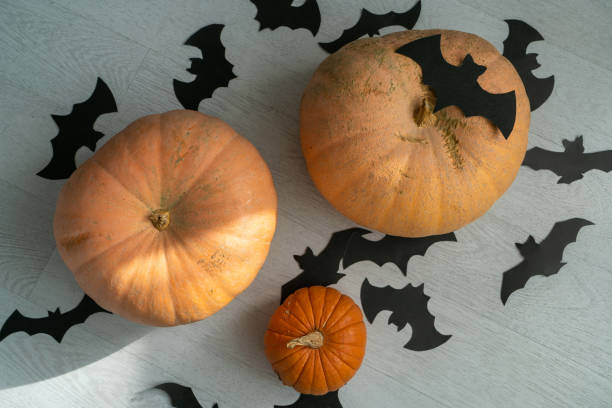 istock Pumpkins and paper bats top view 1184849924