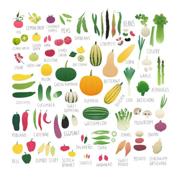 Vector illustration of Clip art collection of vegetables