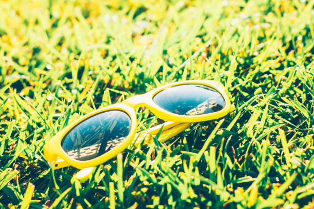 istock Someone lost women's expensive glasses in the grass 1184853238