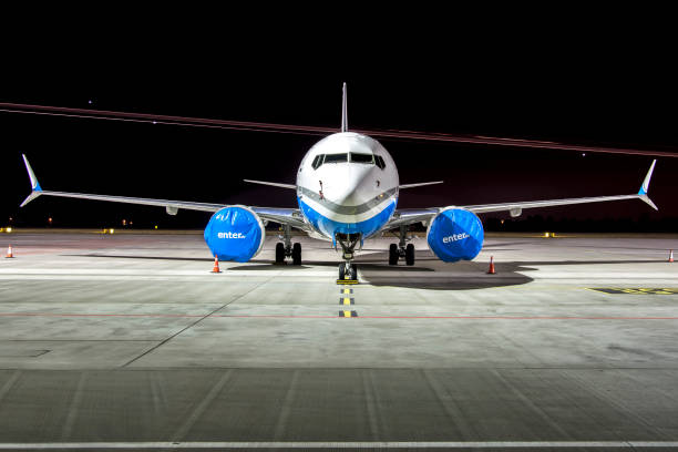 boeing 737 max topraklı - boeing 737 max stok fotoğraflar ve resimler