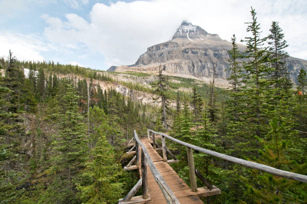 istock Emperor falls in Mt. Robson provincial park 1184856211