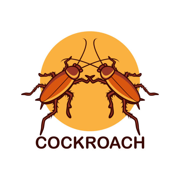 ilustraciones, imágenes clip art, dibujos animados e iconos de stock de insignia de cucaracha aislada en la ilustración vectorial de fondo blanco - vile