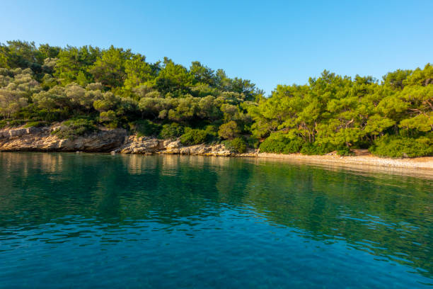 istock Lonely beach and Crystal water sea 1184857421