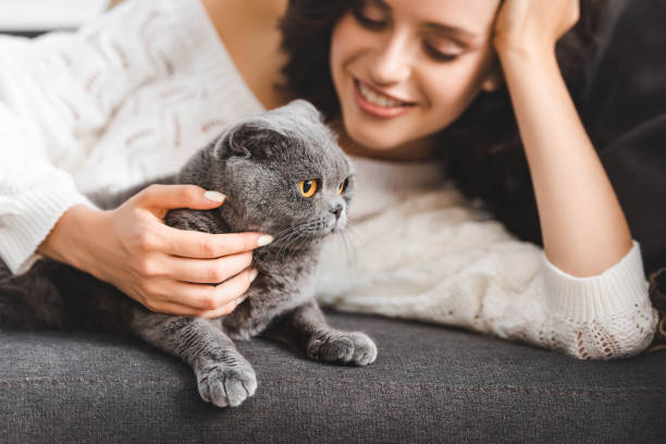 istock cheerful woman lying on sofa with scottish fold cat 1184857462
