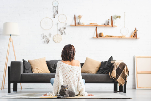 back view of woman sitting on floor with grey cat in living room with dream catchers