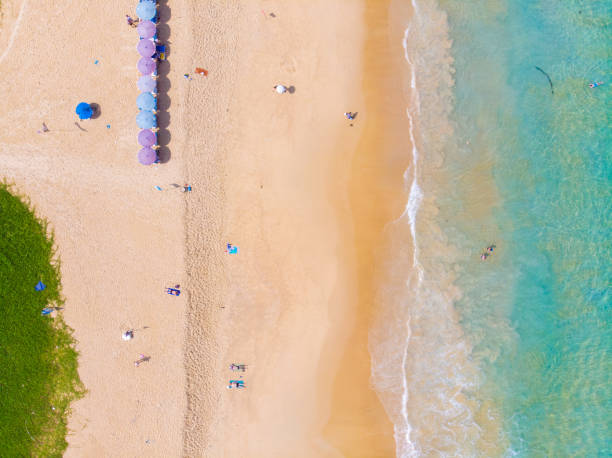 istock Aerial view sea island beach with green tree Phuket 1184857547