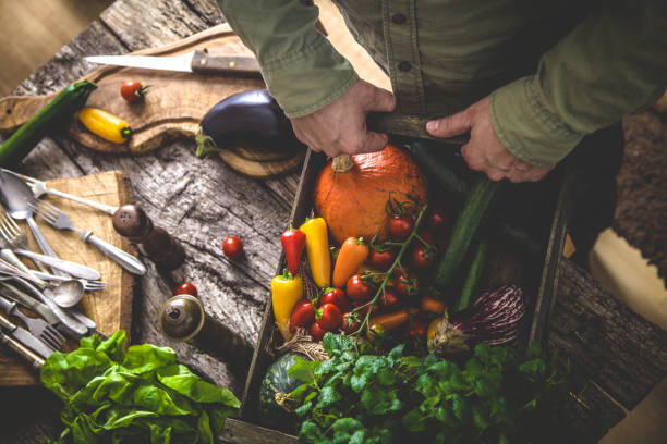 Organic vegetables on wood stock photo