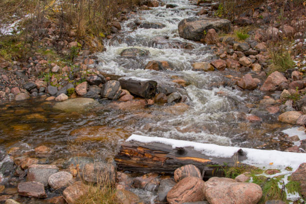 istock Tree trunk lies in a trout stream 1184857851