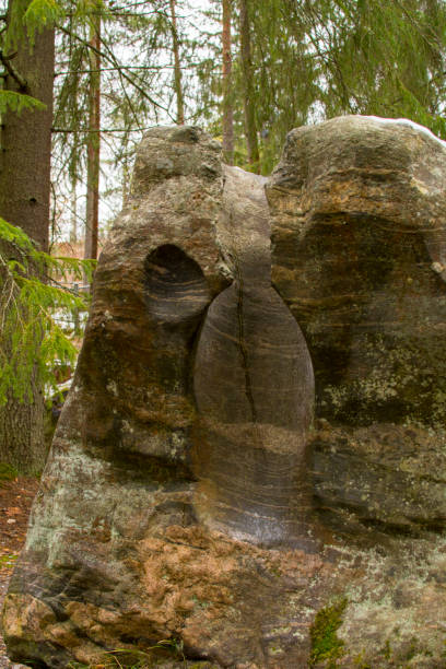 istock Gigantic boilers in the nature reserve 1184858462