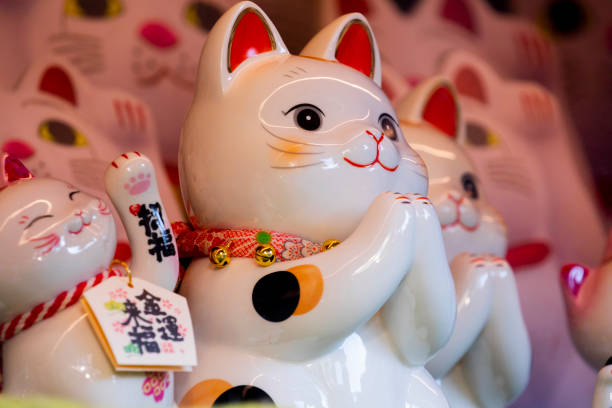 istock Ceramic, Japan, Lucky Cat, Display Cabinet, Jin Yun Laifu 1184858521
