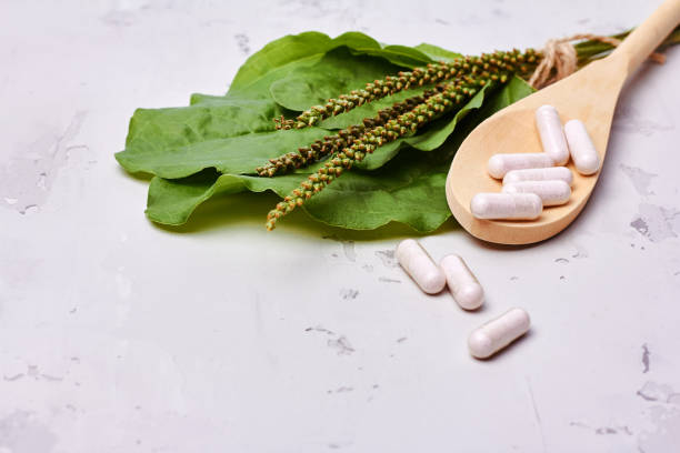 istock Herbal remedy in capsules and plants over light grey background 1184863057