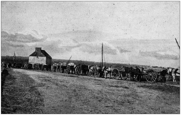 istock Antique photo: Agriculture and transportation of strawberries 1184865433