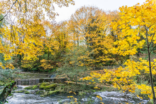 istock Tumwater Falls Park Autumn Landscape 1184865722