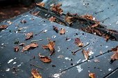 autumnal leaves and poop of pigeons on abandoned car
