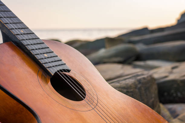 istock Guitar by the sea 1184866762