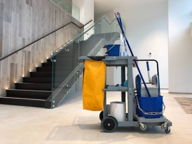 istock Cleaning cart in a hallway 1184866883