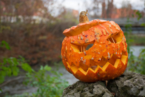 istock Spooky Halloween pumpkin, Jack O Lantern 1184866985