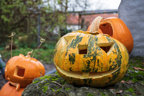 istock Spooky white and orange Halloween pumpkins, Jack O Lantern 1184867114