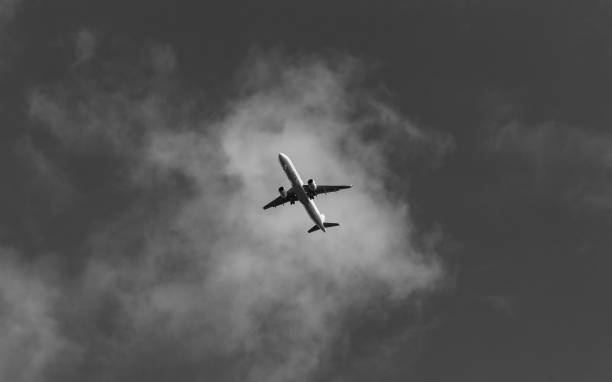 istock Airport Landing II 1184871383