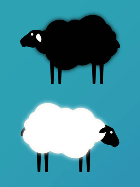 White Sheep Black Sheep White sheep black sheep cloud shape copy space animals. sheep illustrations stock illustrations