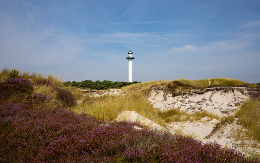 Banner of lighthouse with dunes. BlåvandLighthouse against blue sky with dune at the Danish North Sea coast in vintage style, Blåvandshuk Fyr, Jutland, Denmark, Europe.