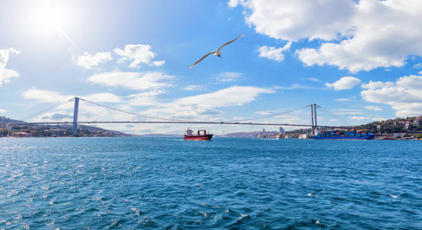 istock Beautiful Bosphorus panorama, the 15 July Martyrs Bridge, Istanbul 1184882718