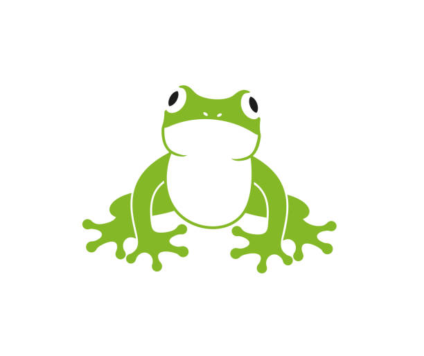 Green frog logo. Abstract frog on white background EPS 10. Vector illustration big frog stock illustrations