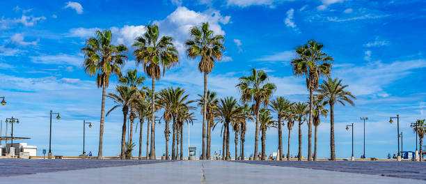 istock La Malvarrosa Beach, Valencia-Spain 1184884320