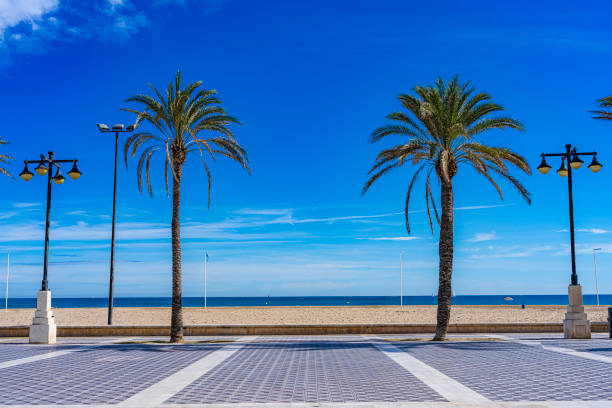 istock La Malvarrosa Beach, Valencia-Spain 1184884326