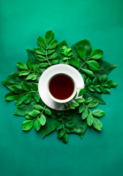 istock White cup of tea with green sprig and leafs on green background 1184885383