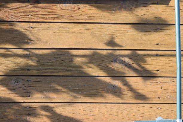 istock shadows of vine leaves 1184886508