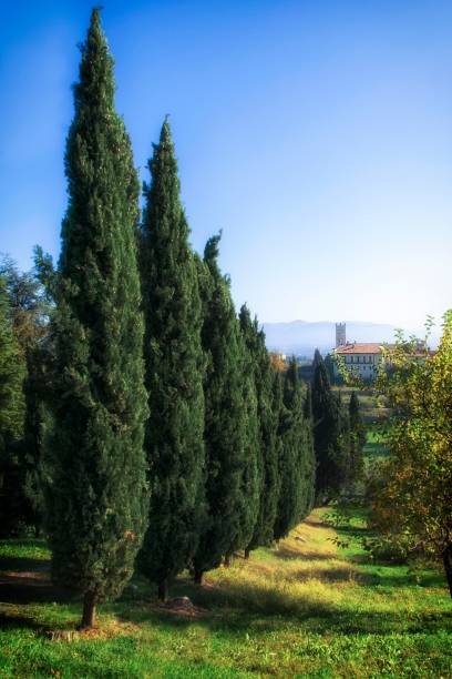 istock Autumn panoramic view, Inverigo, Lombardy, Italy 1184890689