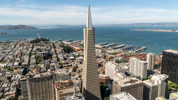 San Francisco cityscape with Transamerica Pyramid, California, USA San Francisco, California, USA - August 2019: San Francisco cityscape with Transamerica Pyramid transamerica pyramid san francisco stock pictures, royalty-free photos & images