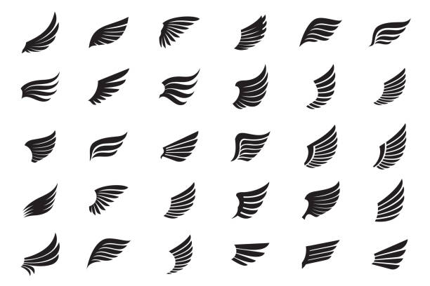satz von schwarzen flügeln. vektor-illustration und umriss-symbole. - bird wings stock-grafiken, -clipart, -cartoons und -symbole