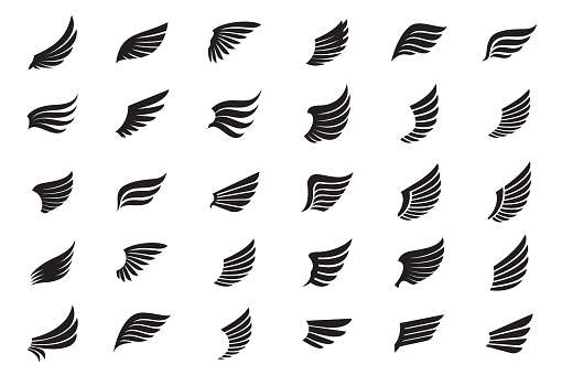 Set of black Wings. Vector Illustration and outline Icons.
